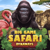 Big Game Safari