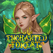 Enchanted Forest