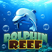 Dolphin Reef