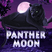 Panther Moon