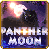 Panther Moon