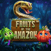 Fruits of the Amazon