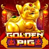 Golden Pig