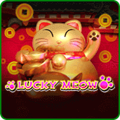 Lucky  Meow