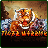 Tiger Warrior